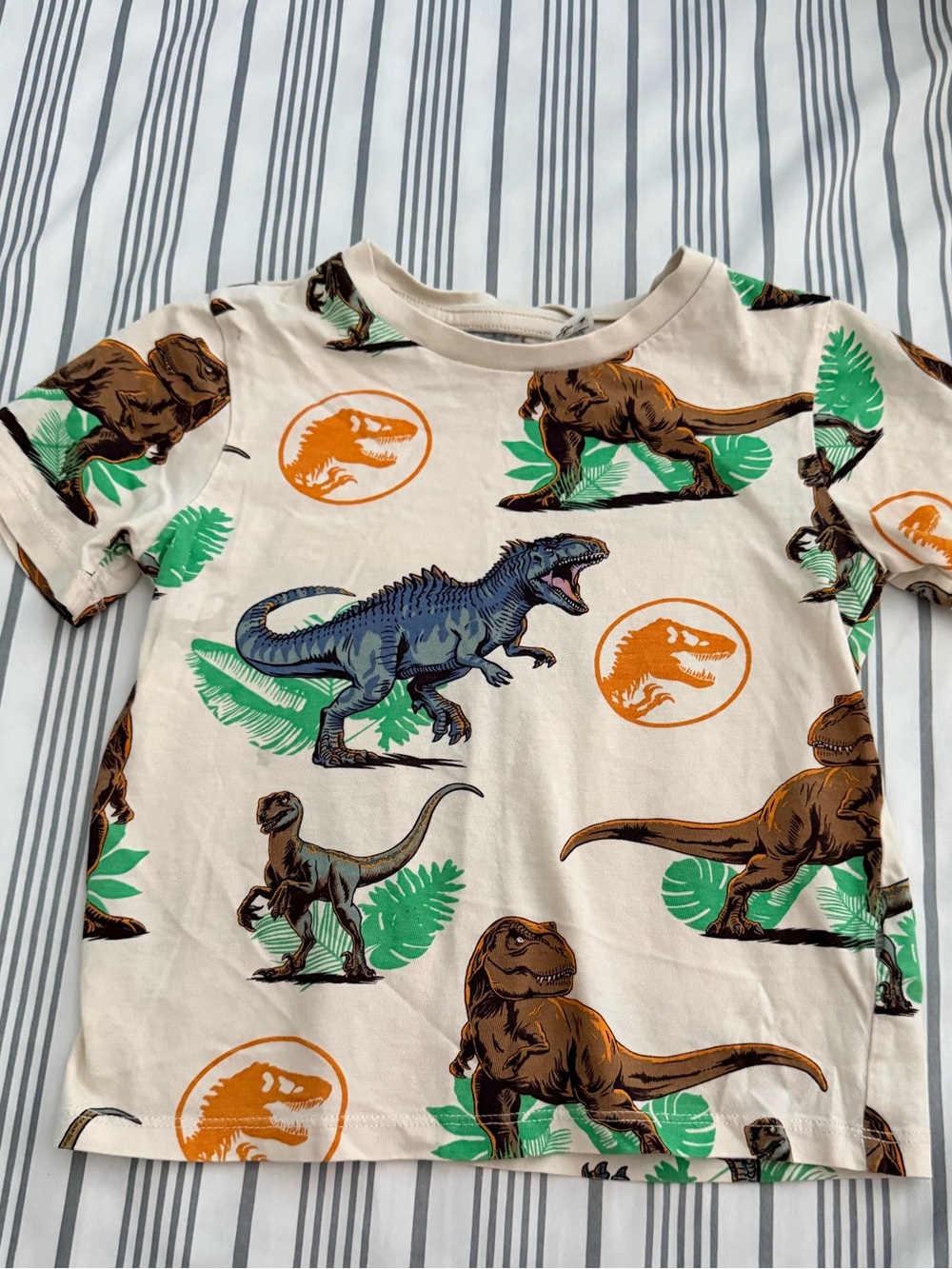 KIDS Dinosaur Tshirt